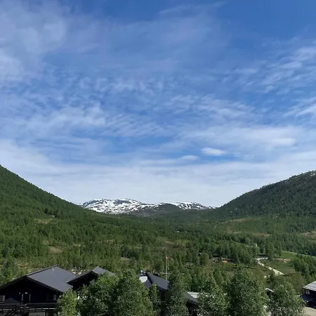 Helgatunlia - 1 Leilighet Voss